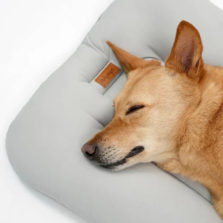 Ibiyaya All-Season Pet Stroller Cushion Set- Green or Brown