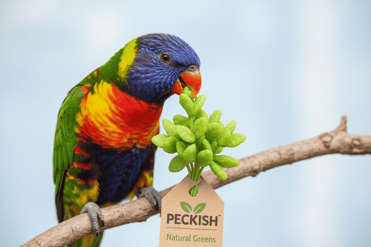 bird with Peckish – Small Parrot Treats – Natural Greens