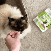 Bell & Bone Cat Dental Bites Chicken Blueberry 80G