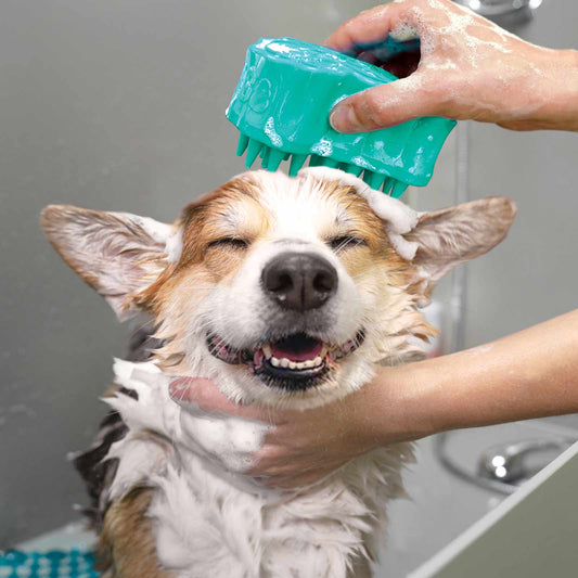 Kong Zoomgroom Bubbles Large