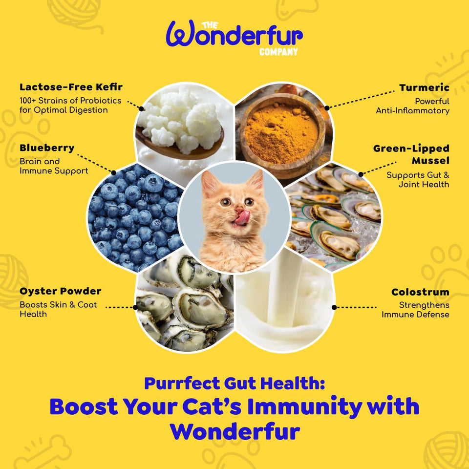 Wonderfur Cat Bites Immune Booster 50G