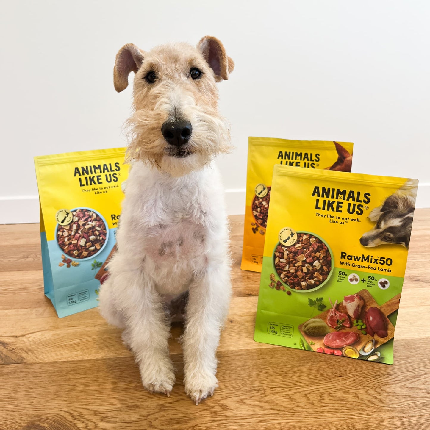 Animals Like Us Dog Rawmix50 With Cage-Free Chicken 340G