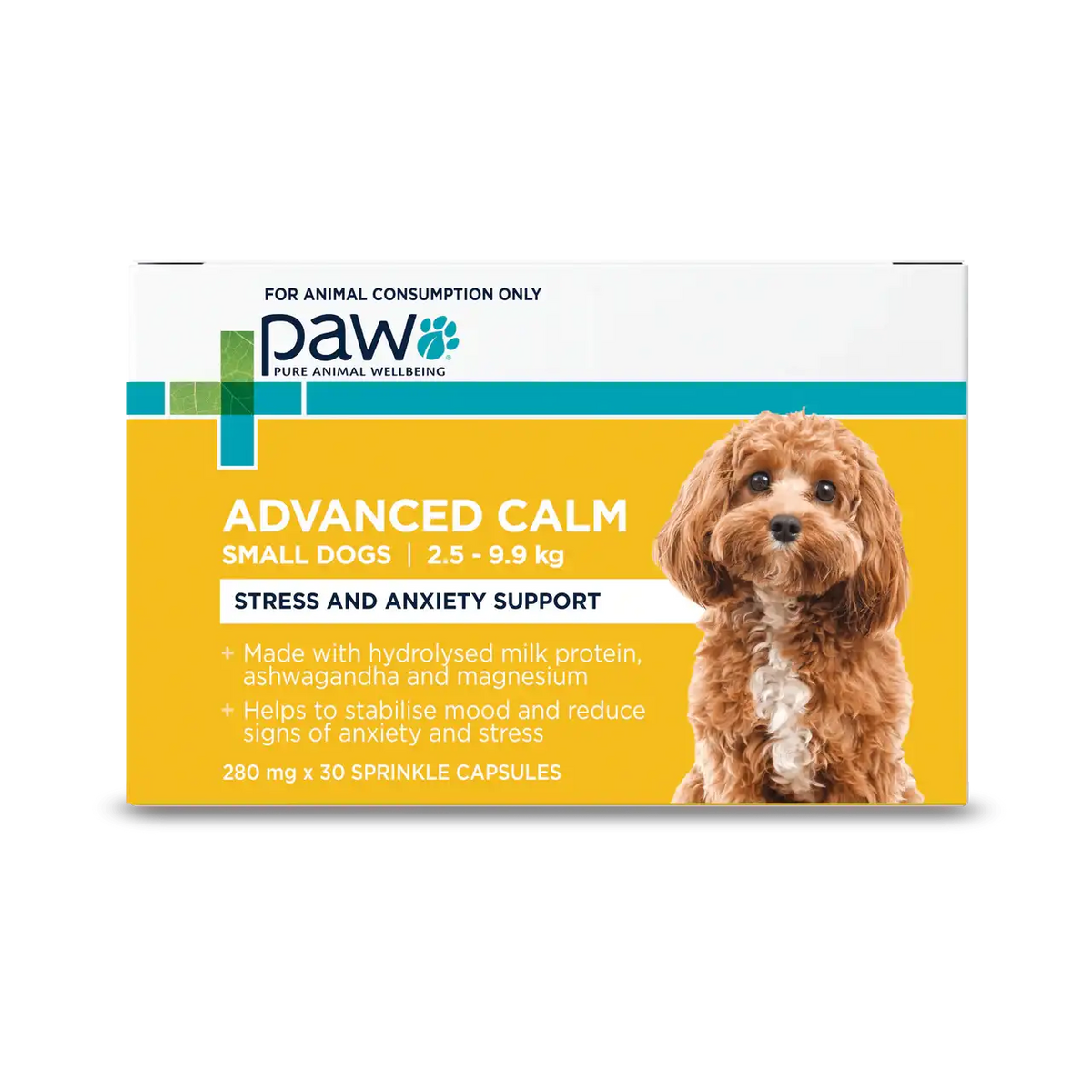 PAW – Advanced Calm