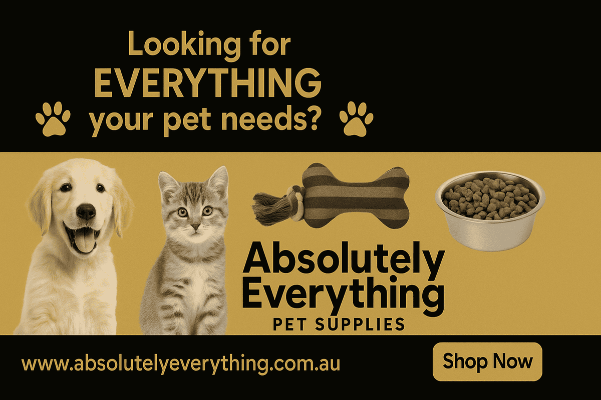 Cherish – Playful Puppy