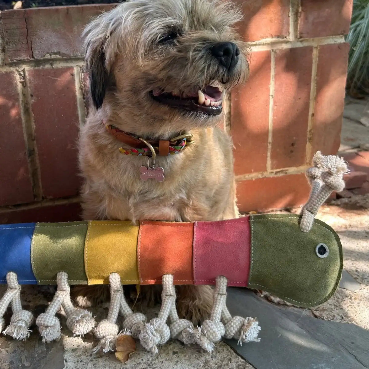 Georgie Paws – Giant Gerti the Grub