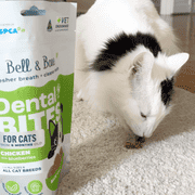 Bell & Bone Cat Dental Bites Chicken Blueberry 80G
