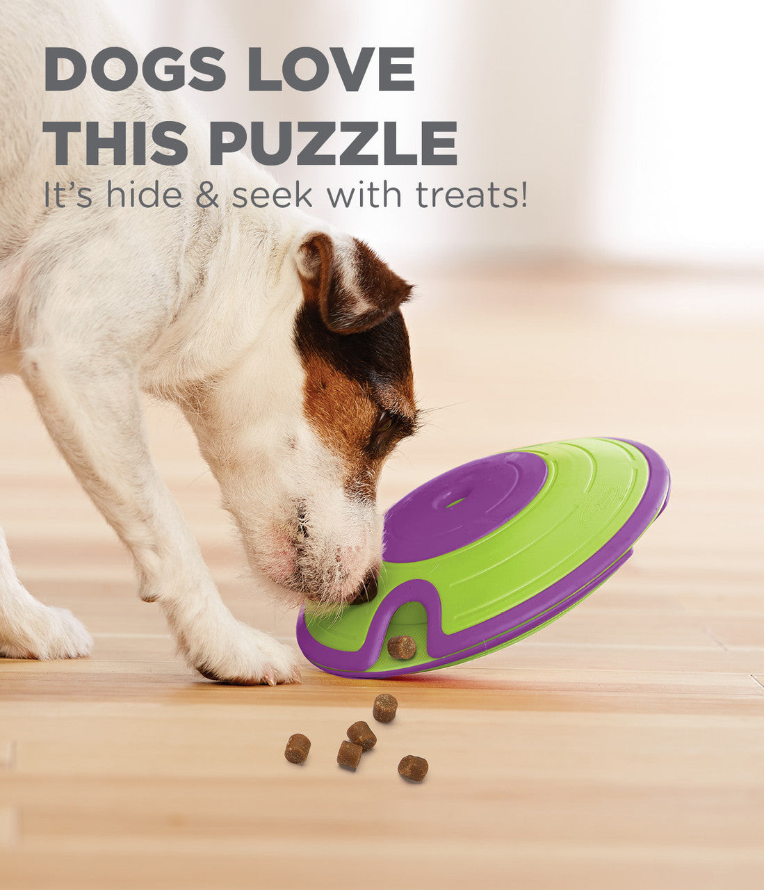 Treat Maze Green by Nina Ottosson