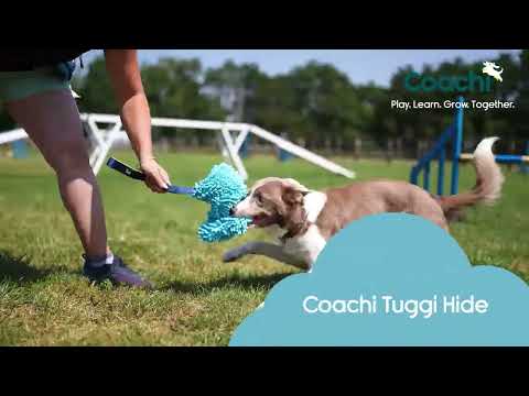 Coachi Tuggi Hide Navy