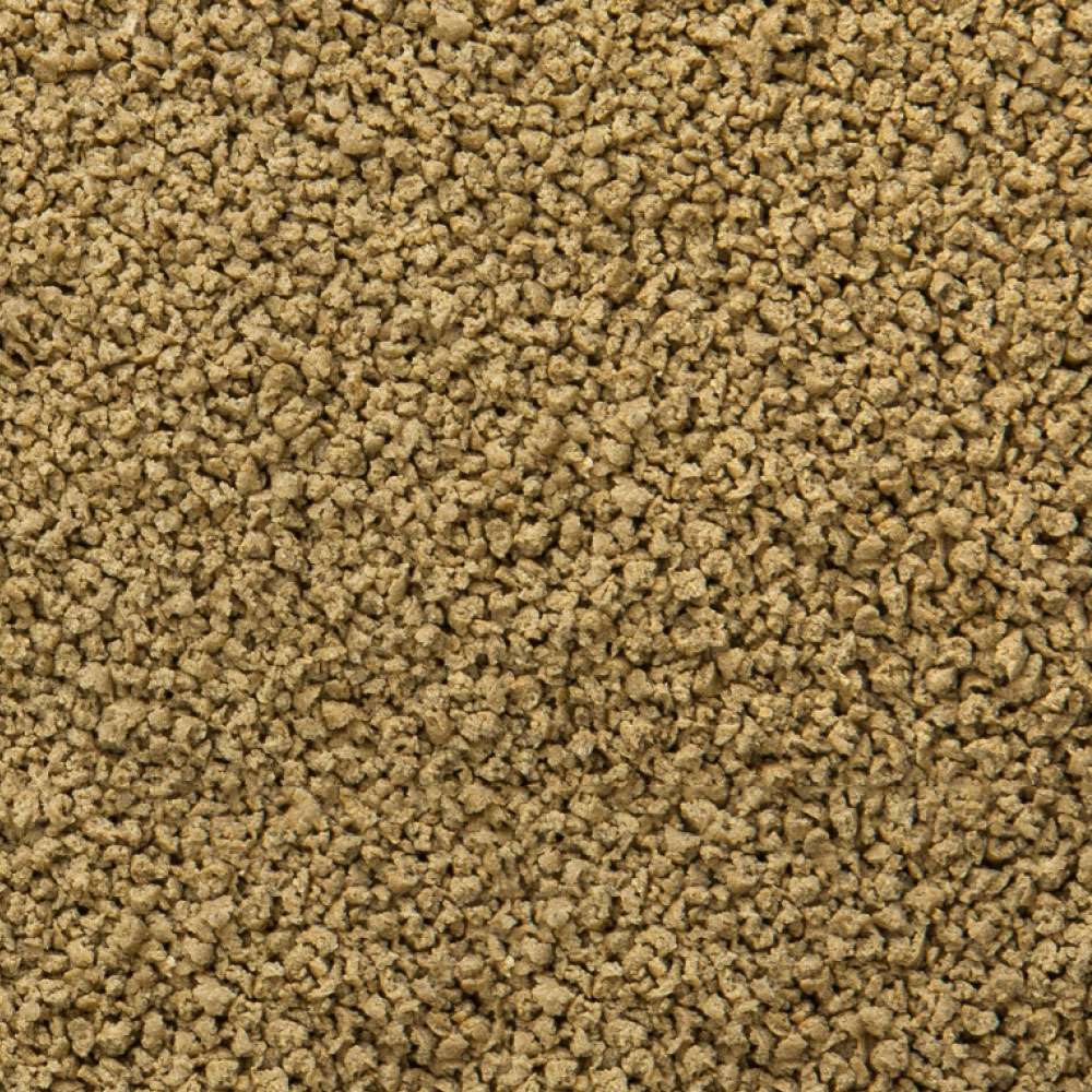 Sera – Immune Probiotic Granules