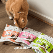 Bell & Bone Cat Dental Bites Salmon Charcoal 80G