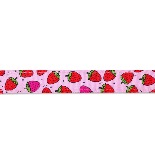 Max & Molly Smart ID Cat Collar - Strawberry Dream