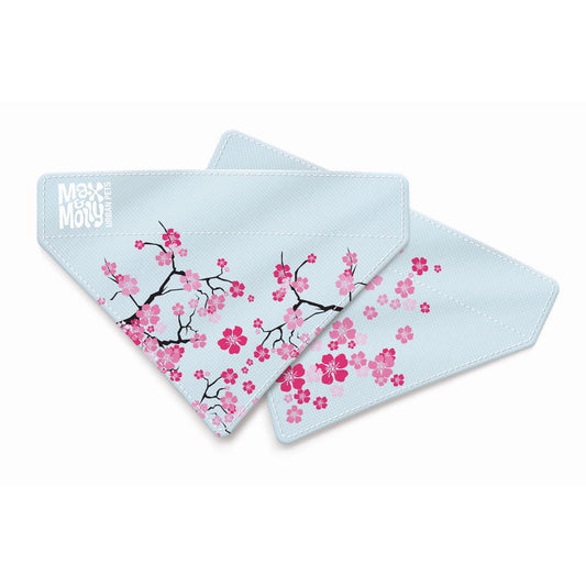 Max & Molly Bandana for Cats & Dogs - Cherry Bloom