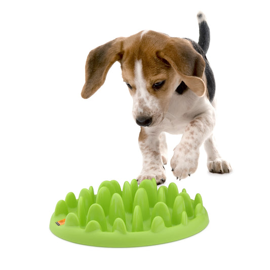 Northmate Green For Dogs