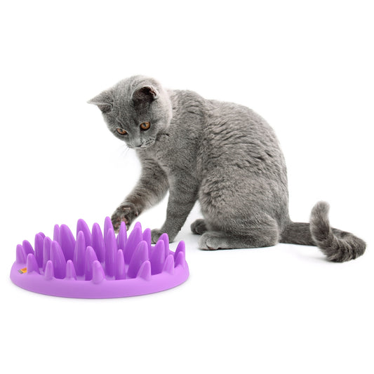 Northmate Catch Slow Feeder For Cats