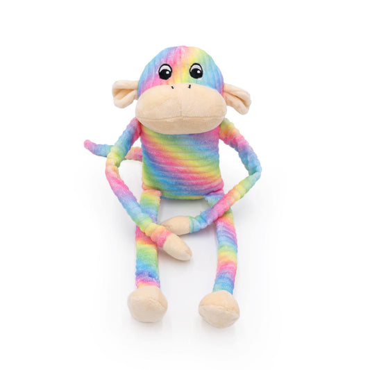 Zippy Paws Spencer the Crinkle Monkey Long Leg Plush Dog Toy - Large Rainbow