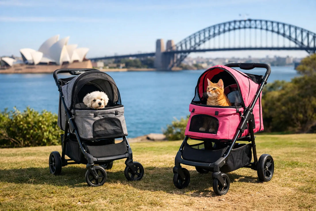 Ibiyaya Pet Stroller Australia Buying Guide