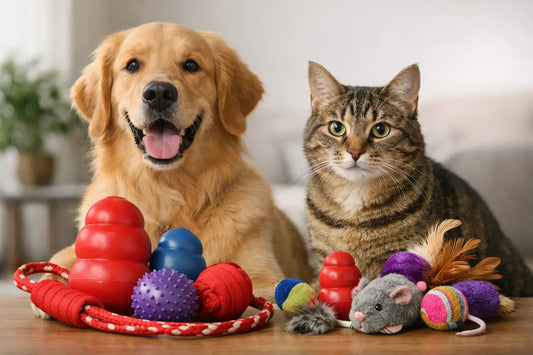 How to Choose KONG Toys for Dogs and Cats