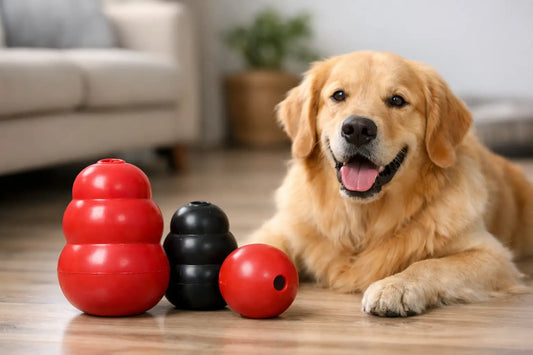 KONG Dog Toy Review: Right for Your Dog?