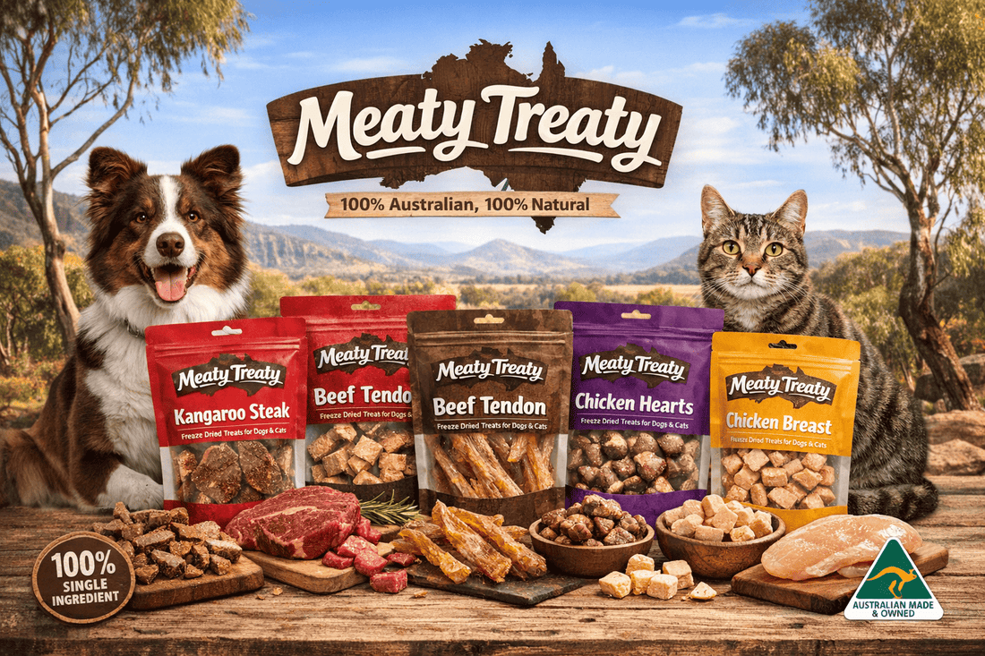 Meaty Treaty Freeze Dried Dog & Cat Treats