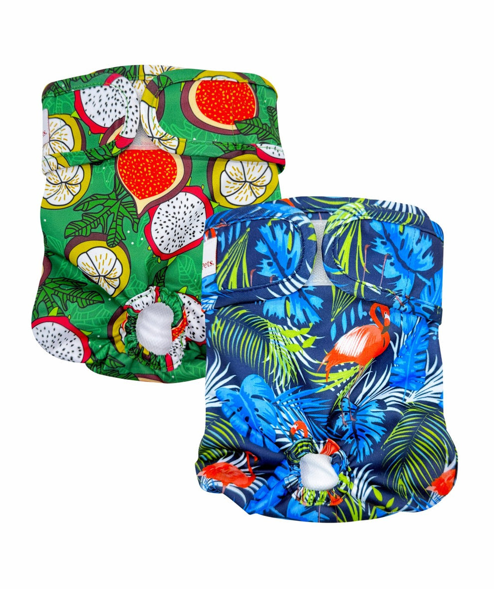 Loving Pets Washable Nappies Blue/Green 2Pk