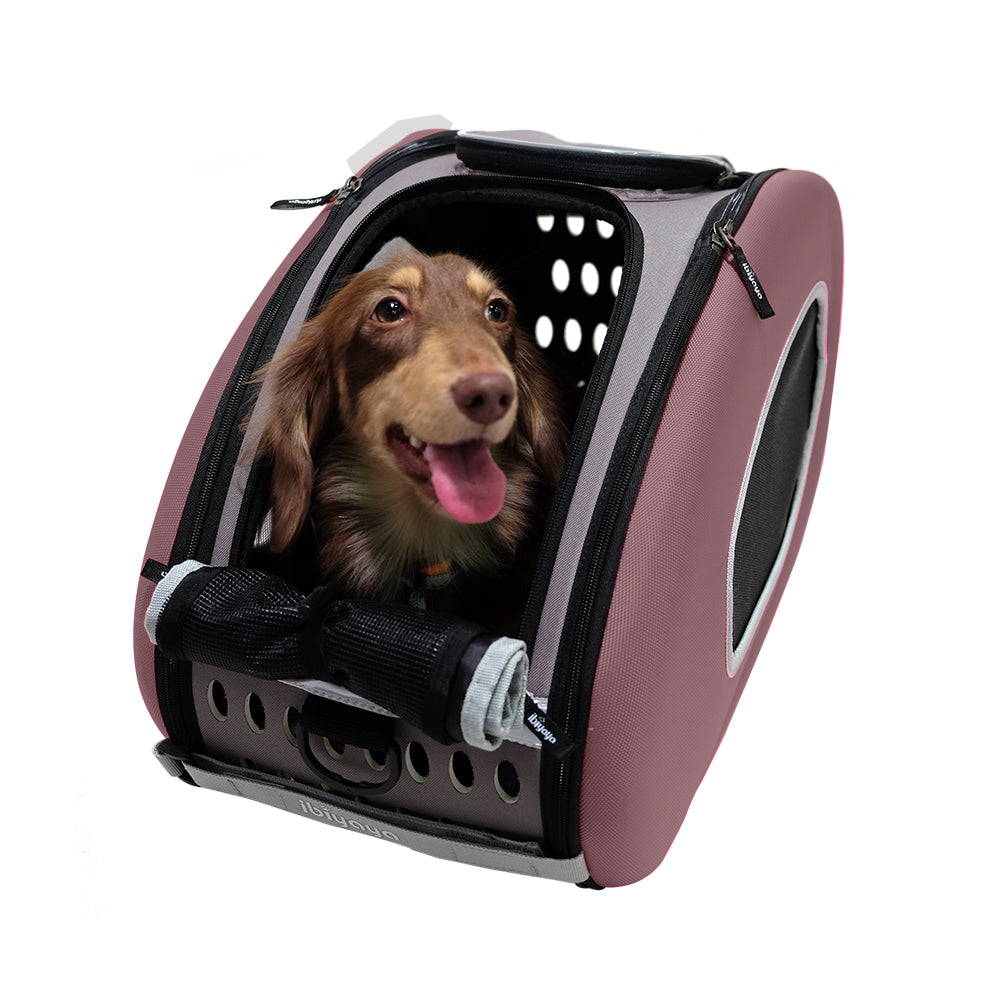 5-In-1 Combo Eva Pet Carrier/Stroller - by Ibiyaya
