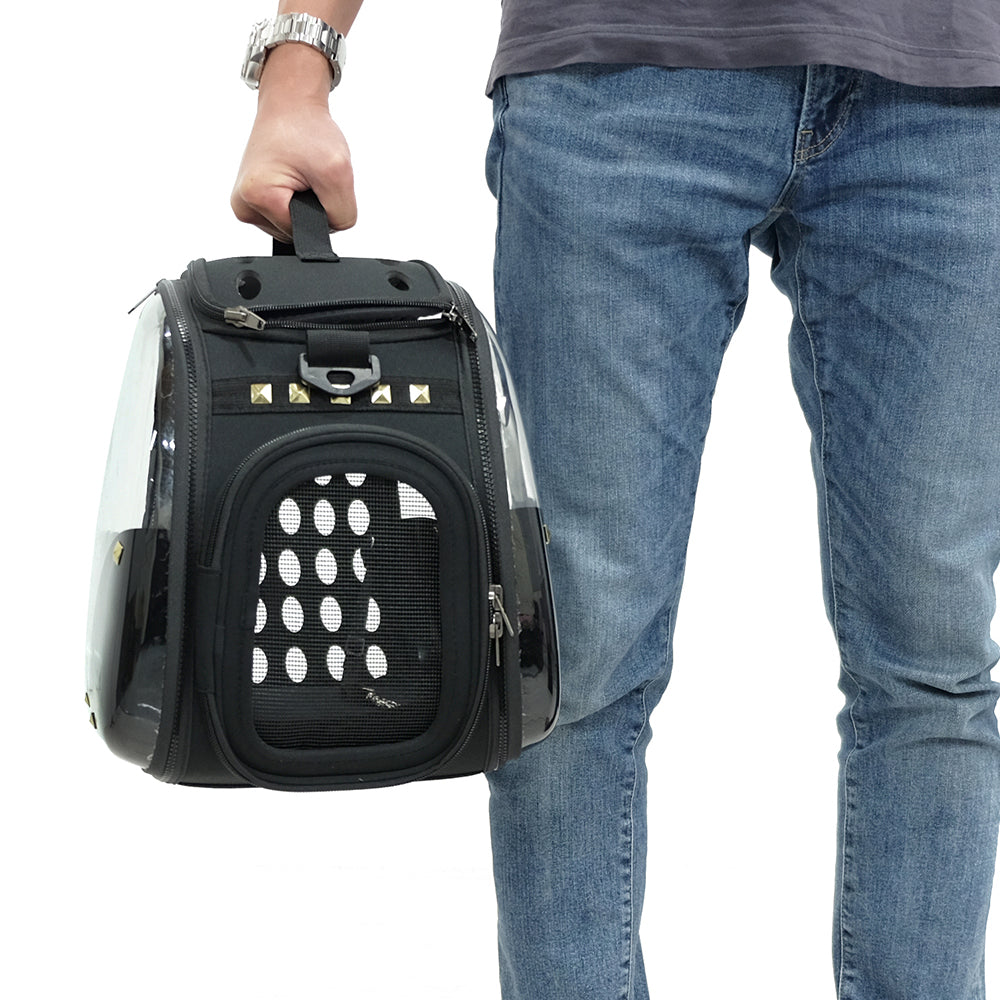 Hard Rock Transparent Hardcase Carrier by Ibiyaya