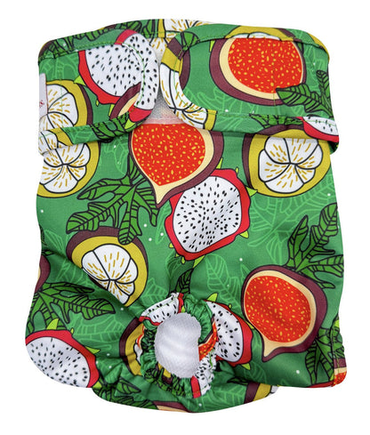 Loving Pets Washable Nappies Blue/Green 2Pk