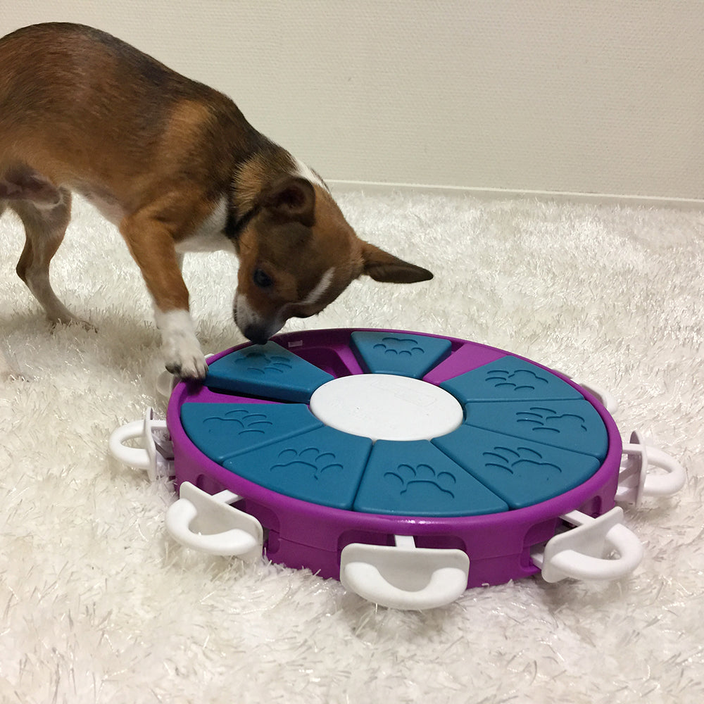 Dog Twister Purple by Nina Ottosson