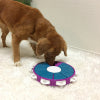 Dog Twister Purple by Nina Ottosson