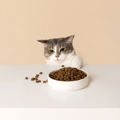 Savourlife Ocean Fish Adult Cat Dry Food