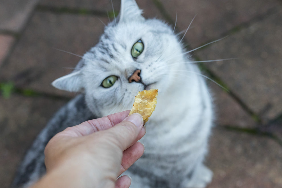 Loving Pets Mackerel Strips Cat Treats 80G