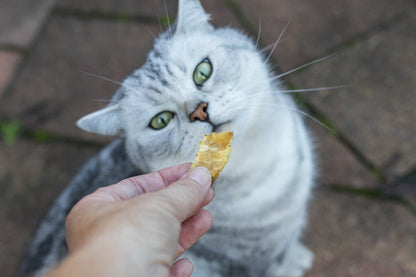 Loving Pets Mackerel Strips Cat Treats 80G