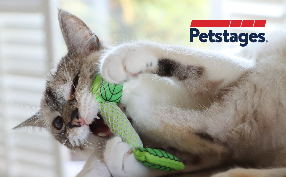 Petstages Cat Fresh Breath Mint Stick Green