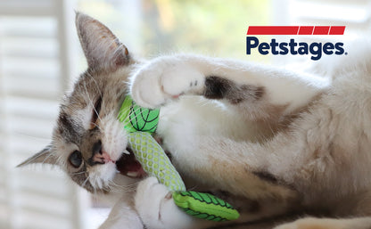 Petstages Cat Fresh Breath Mint Stick Green