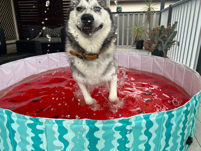 Charlie’s – Portable Pet Pool – Watermelon