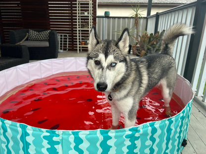 Charlie’s – Portable Pet Pool – Watermelon