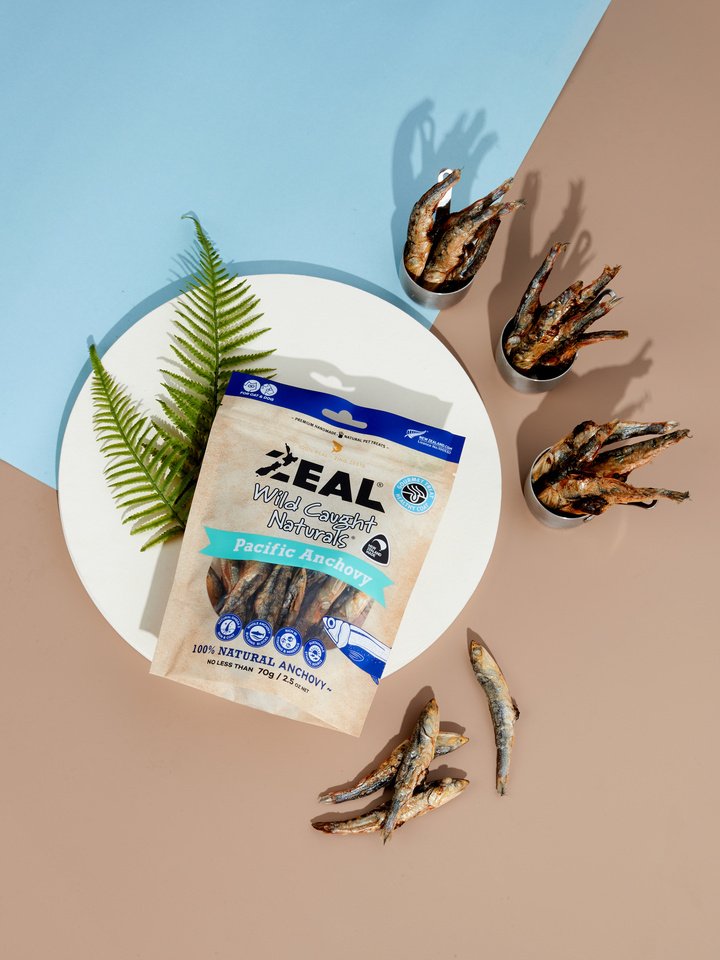 Zeal – NZ Caught Naturals – Pacific Anchovy