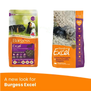 Burgess Excel Adult Guinea Pig Blackcurrant & Oregano 1.5Kg