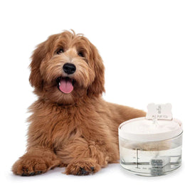 All Fur You Auto Sensor Water Fountain - USB - Its smart sensor activates when your pet approaches,