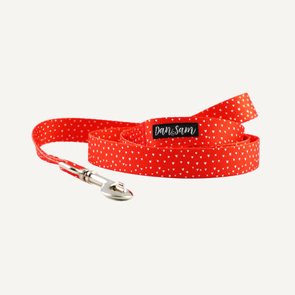 Dan & Sam – Dog Lead