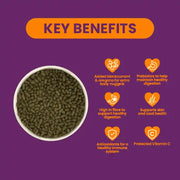 Burgess Excel Adult Guinea Pig Blackcurrant & Oregano 1.5Kg