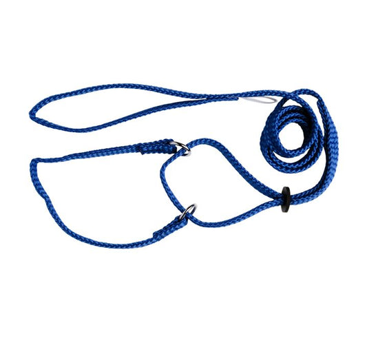 Beau Pets – Martingale Show Lead 120cm