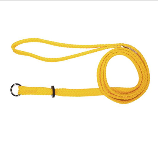 Beau Pets – Nylon – Single Nylon – Choker Lead – Gold
