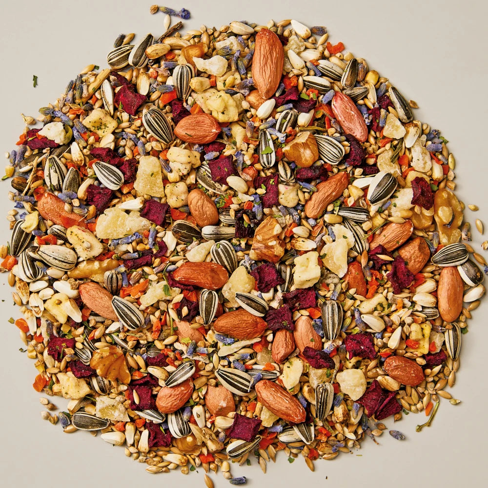 Whistler Small Parrot Gourmet Blend 1.2Kg