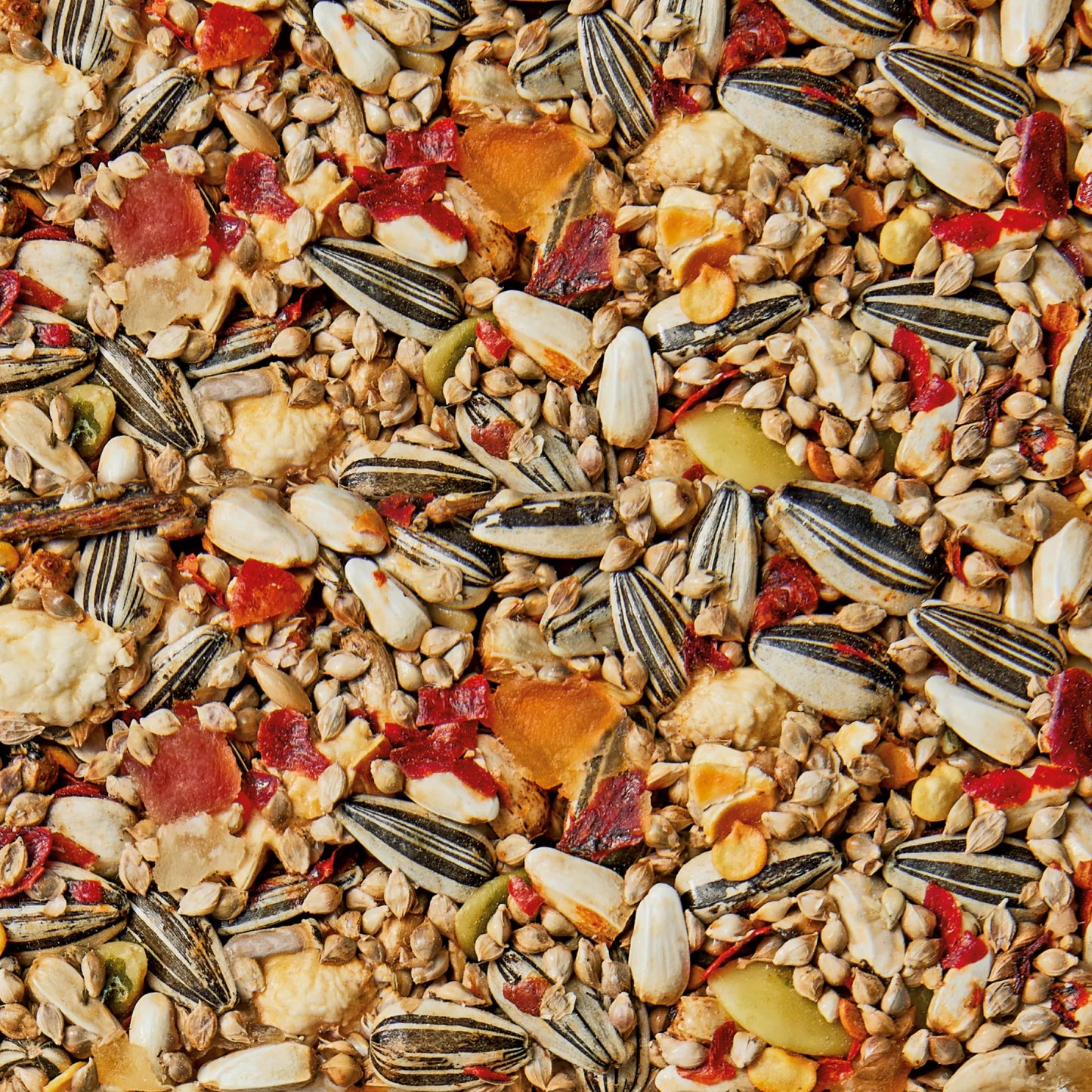 Whistler Cockatiel & Lovebird Health Bar 75G 12Pk