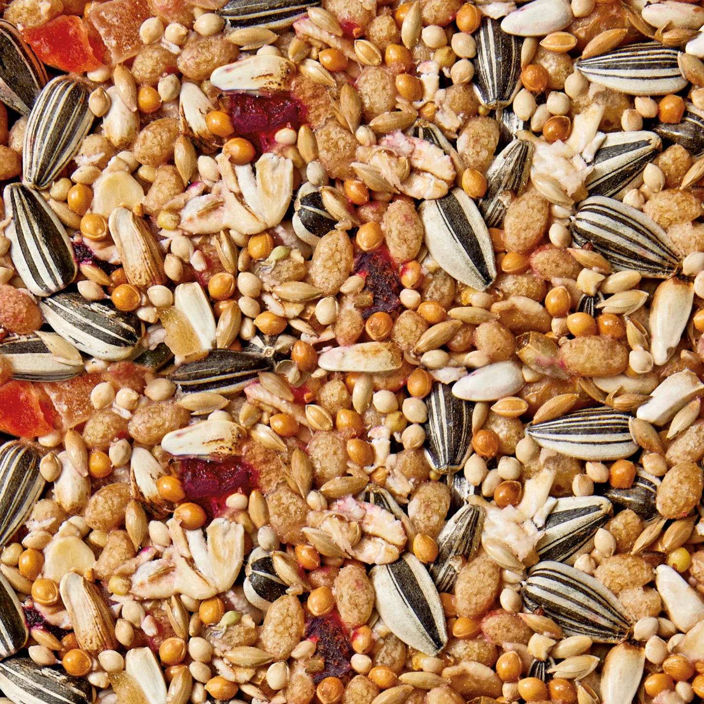 Whistler Parrot Health Bar 85G 12Pk