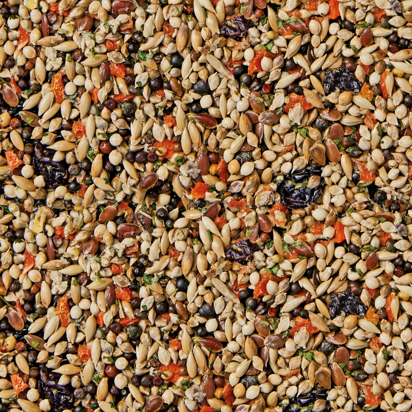 Whistler Budgie Health Bar 85G 12Pk