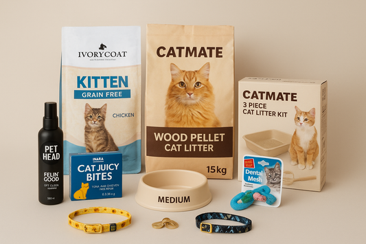Kitten Starter Pack