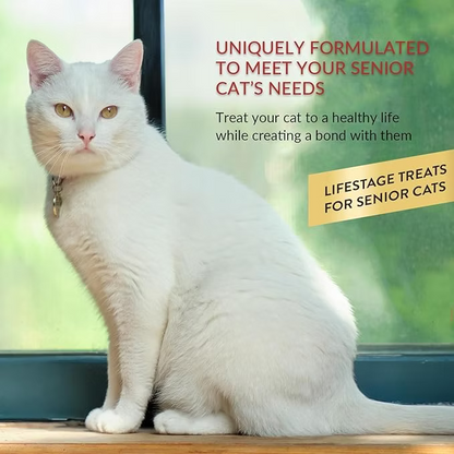 Inaba – Senior Cat Churu 10+ Years