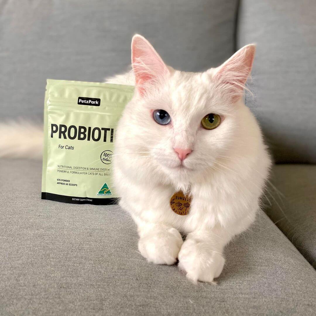 PetzPark – Probiotic – For Cats